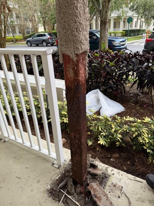 Terraces At East Village steel remediation
